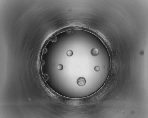 X0000099300791200805090953