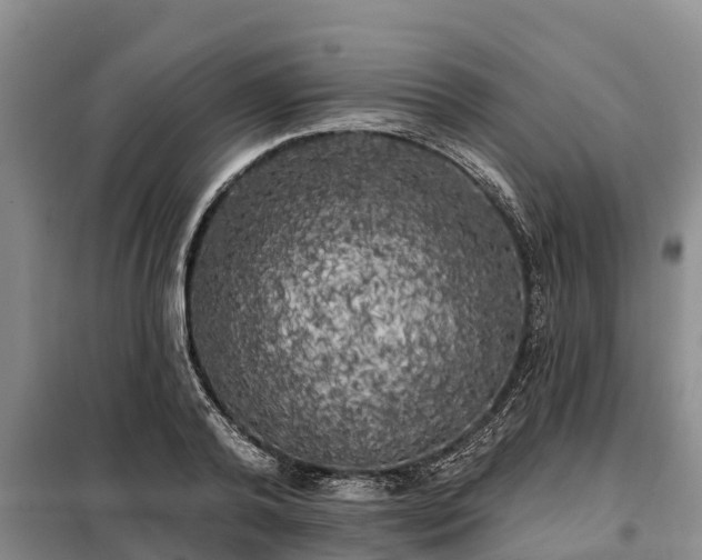 X0000099300792200805090953