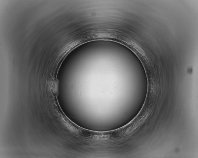 X0000099300793200805090953