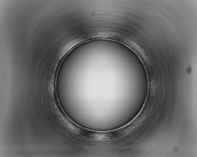 X0000099300794200805090953