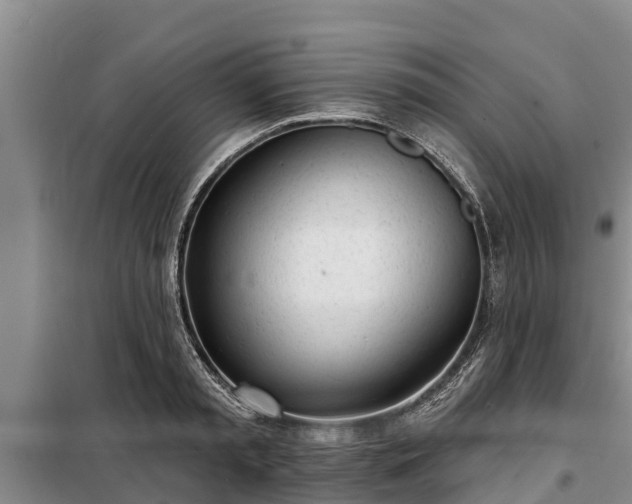 X0000099300797200805090953