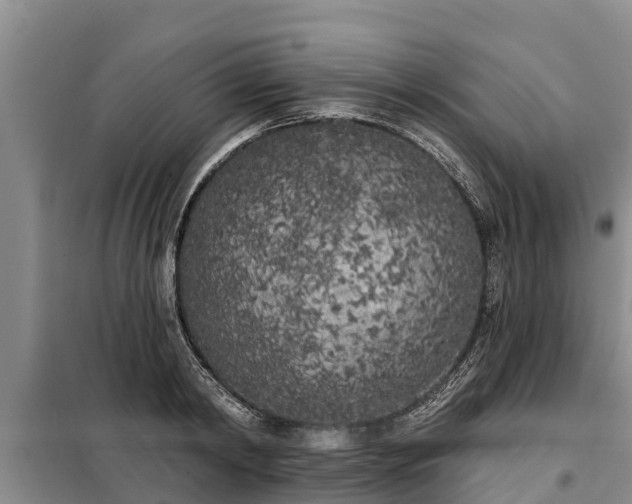 X0000099300798200805090953