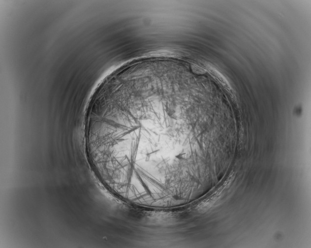 X0000099300800200805090953