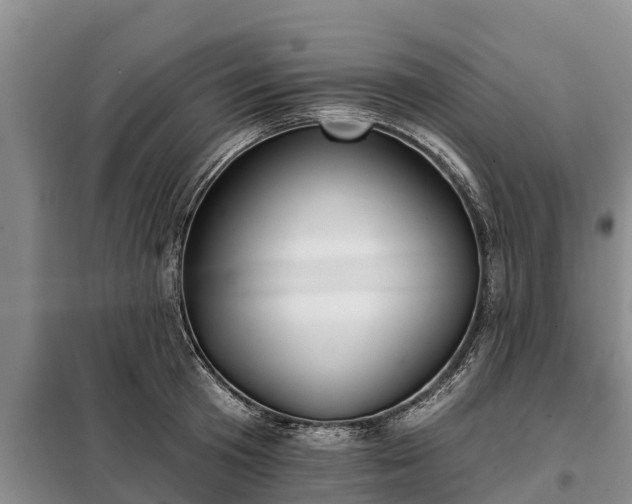 X0000099300801200805090953