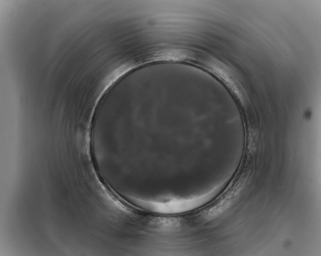 X0000099300802200805090953