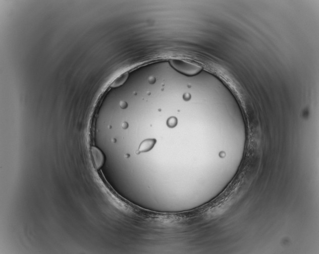 X0000099300803200805090953