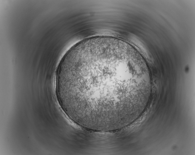 X0000099300804200805090953