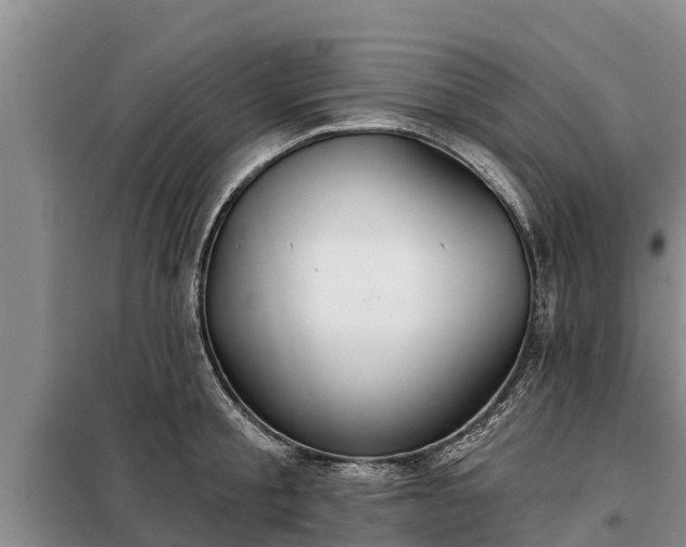 X0000099300805200805090953