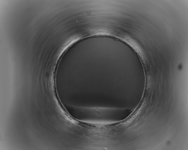 X0000099300806200805090953