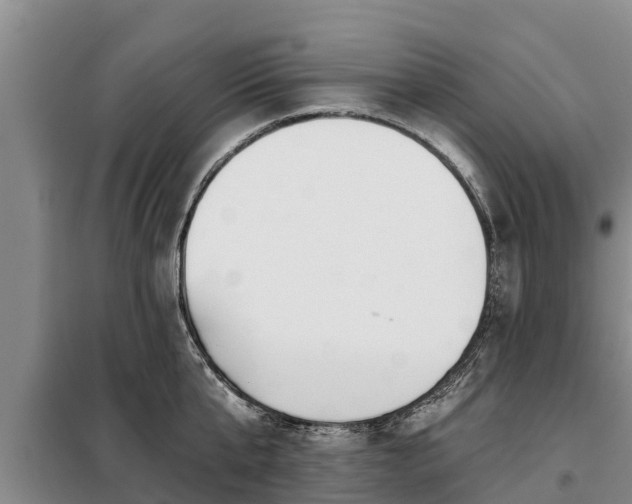 X0000099300807200805090953