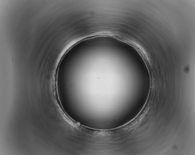 X0000099300808200805090953