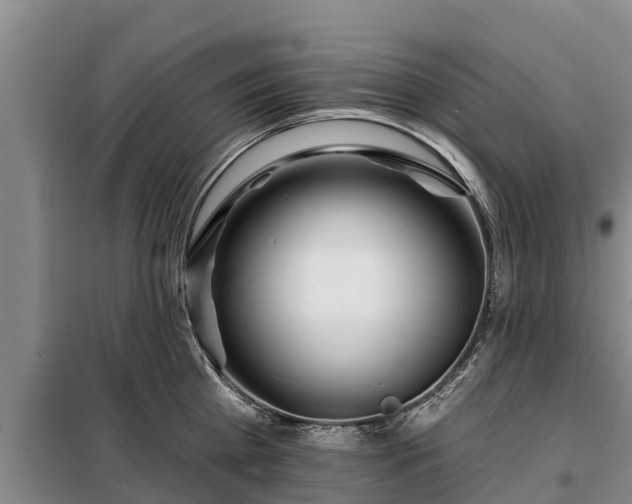 X0000099300809200805090953