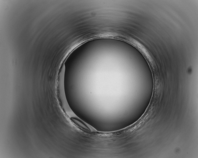 X0000099300810200805090953