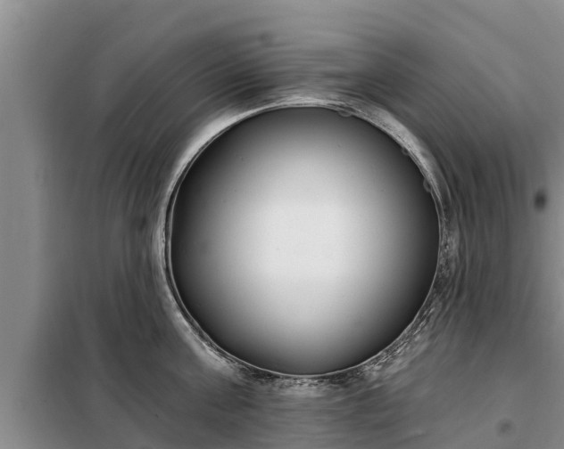 X0000099300811200805090953