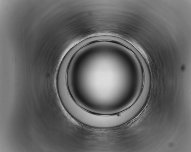 X0000099300813200805090953