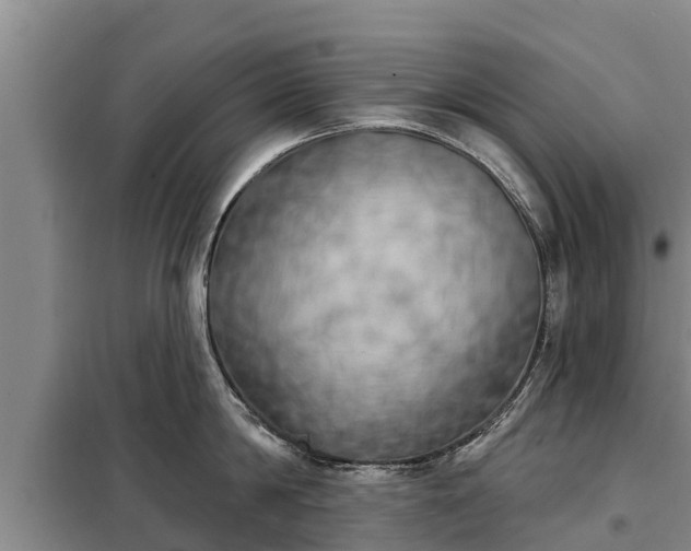 X0000099300814200805090953