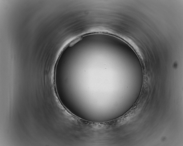 X0000099300815200805090953