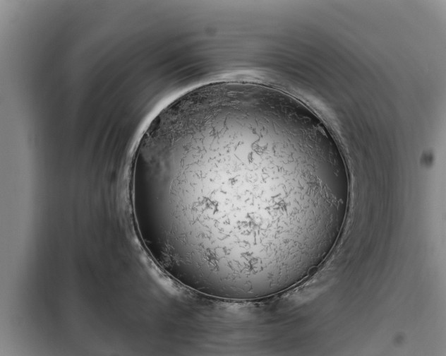 X0000099300816200805090953