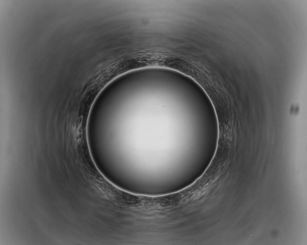 X0000099300818200805090952