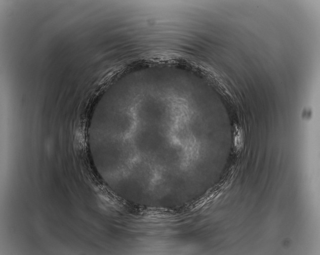 X0000099300819200805090952