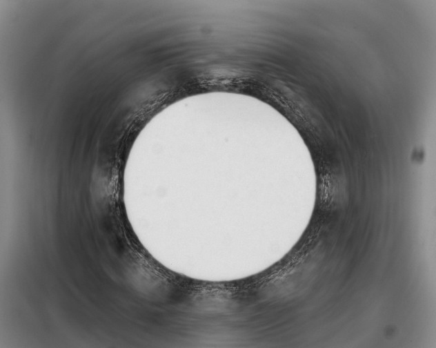 X0000099300820200805090952