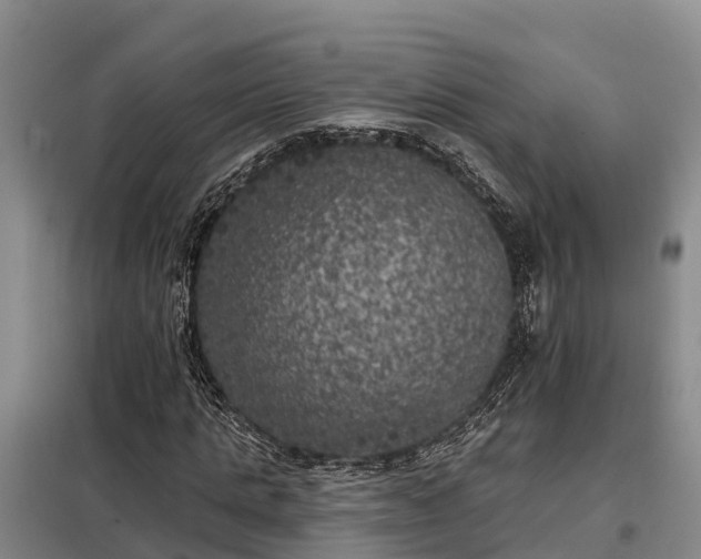 X0000099300821200805090952