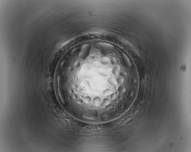 X0000099300822200805090952