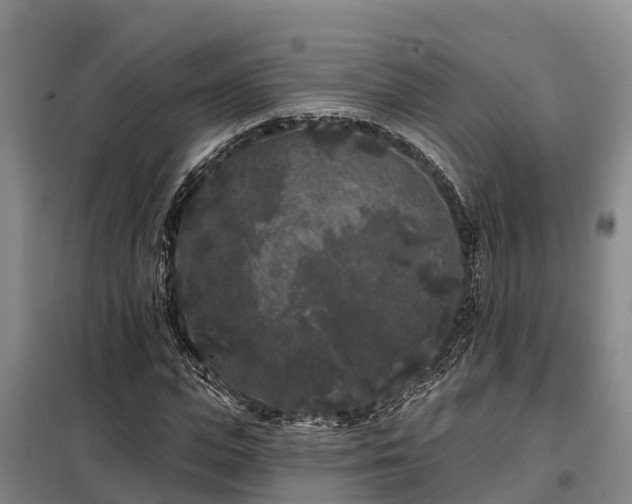 X0000099300823200805090952