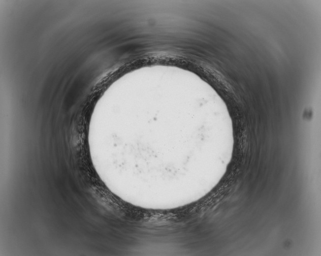 X0000099300824200805090952