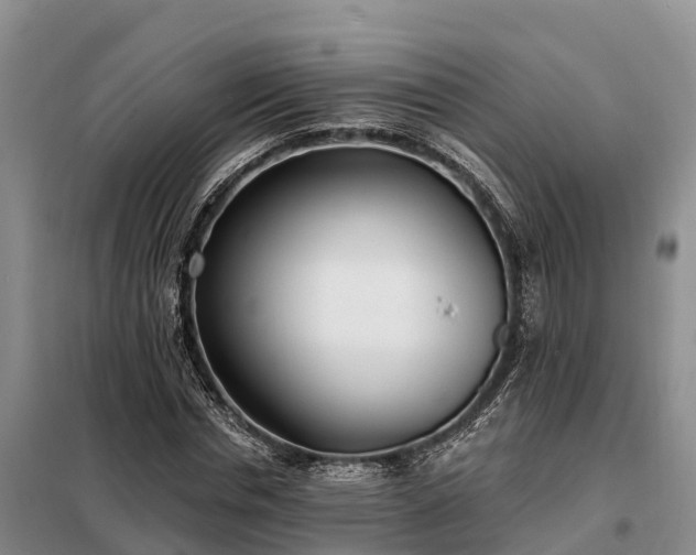 X0000099300826200805090952