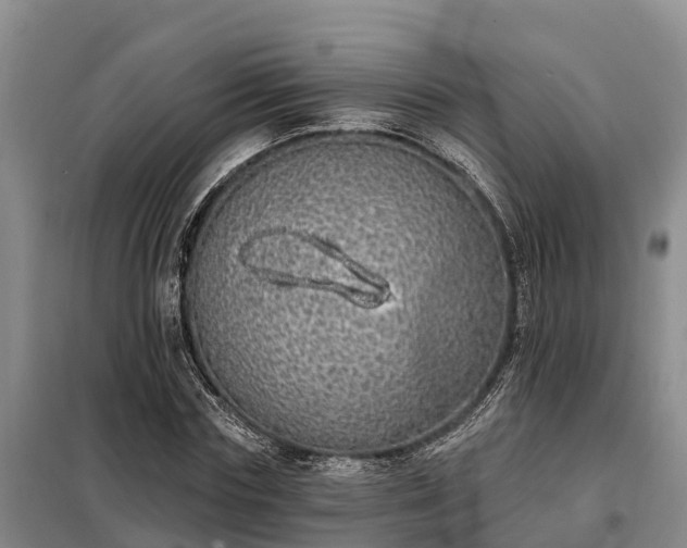 X0000099300827200805090952