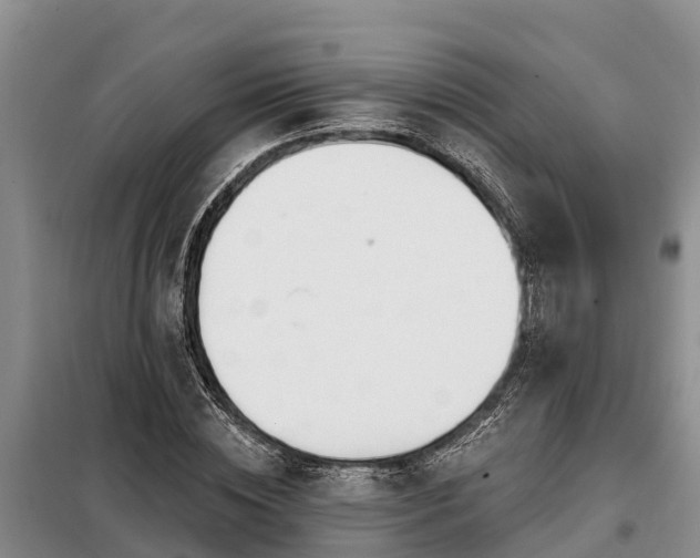 X0000099300828200805090952