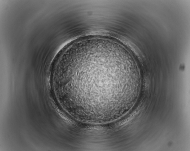 X0000099300830200805090952