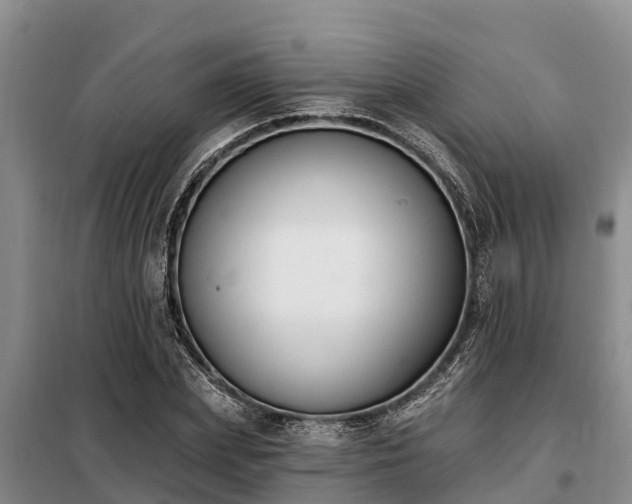 X0000099300831200805090952