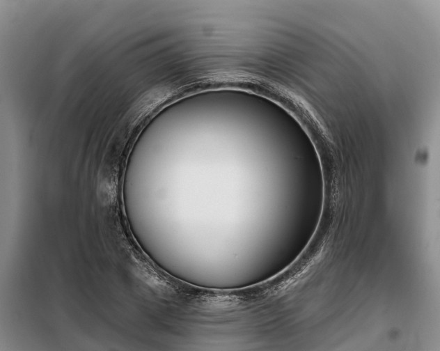 X0000099300833200805090952