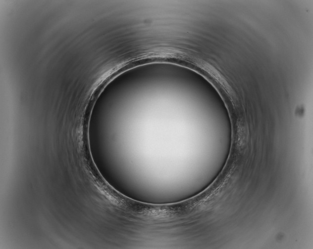 X0000099300834200805090952