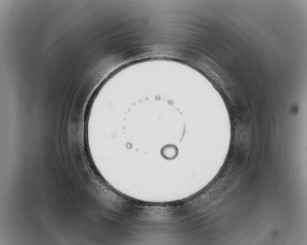 X0000099300836200805090952