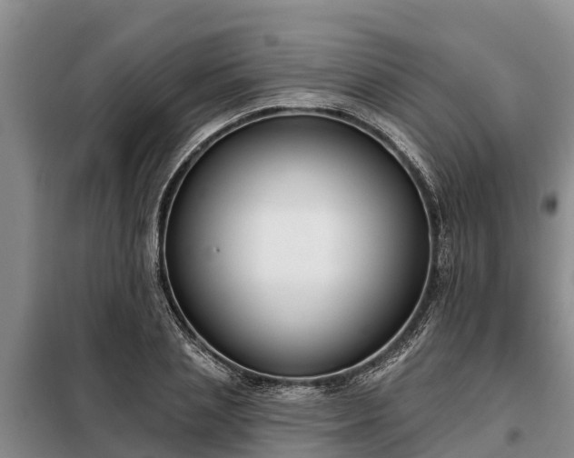 X0000099300837200805090952