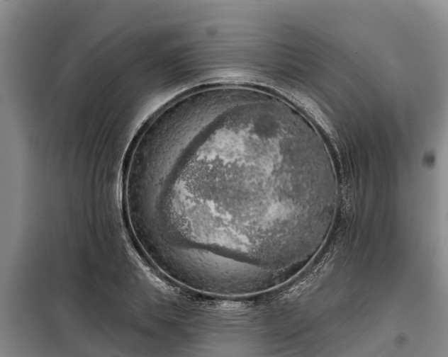 X0000099300839200805090952