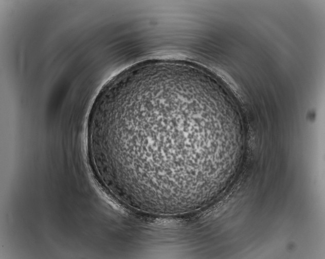 X0000099300840200805090952