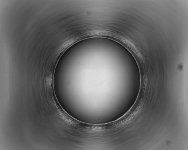 X0000099300841200805090952