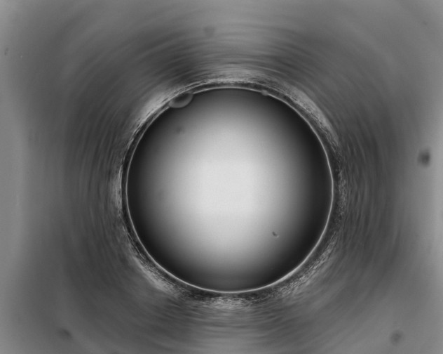 X0000099300842200805090952