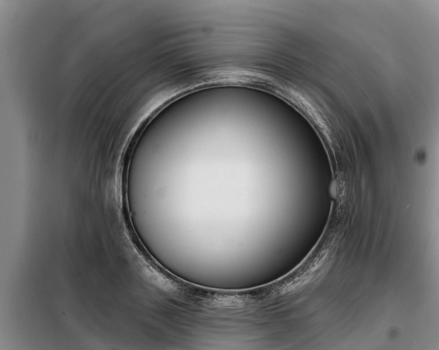 X0000099300843200805090952