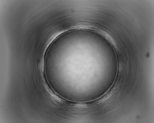 X0000099300844200805090952