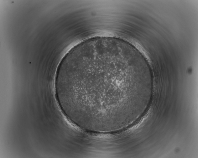 X0000099300845200805090952