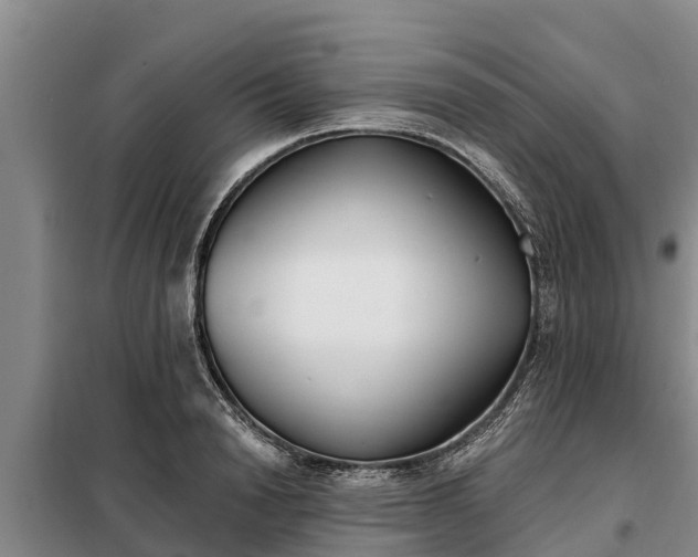 X0000099300846200805090952