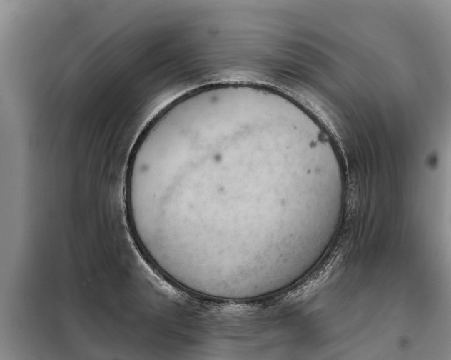 X0000099300847200805090952