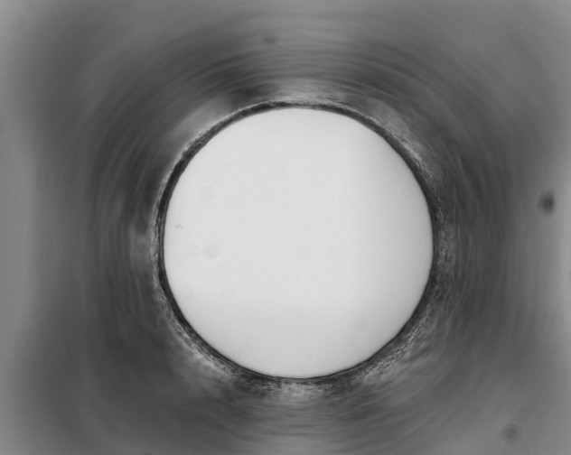 X0000099300848200805090952