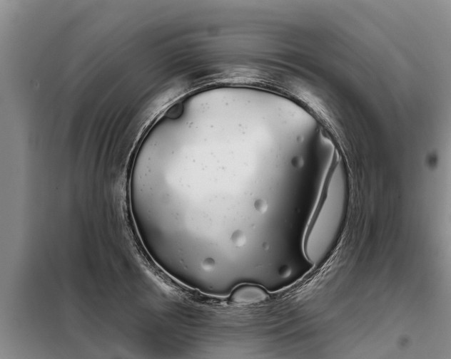 X0000099300850200805090952