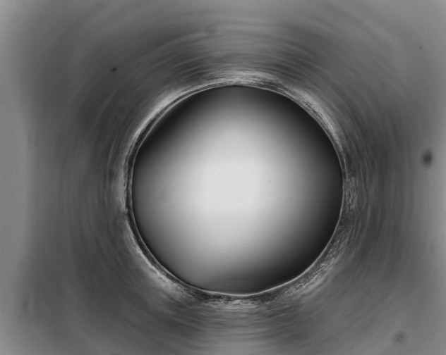 X0000099300851200805090952